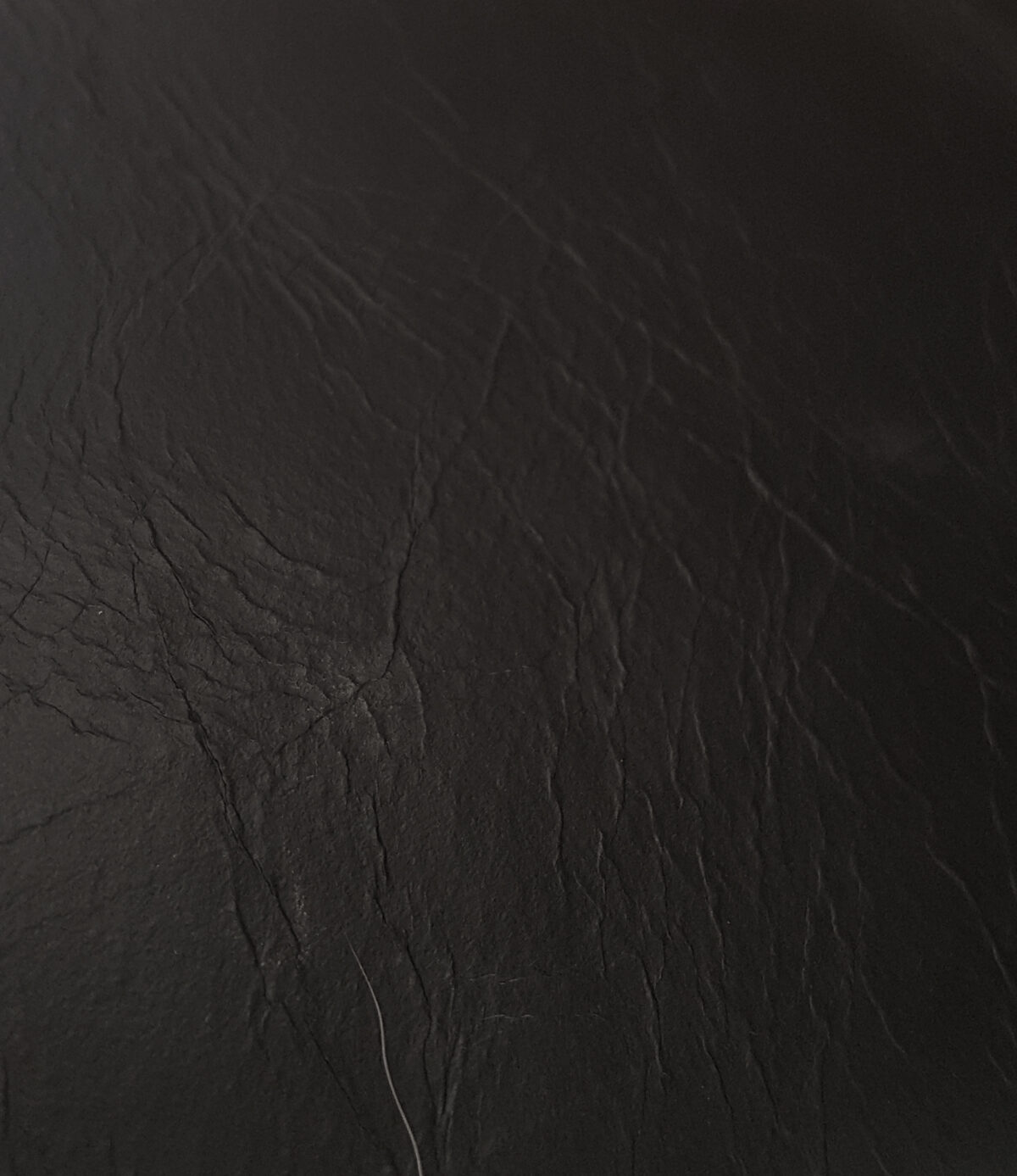 Belon Black sample