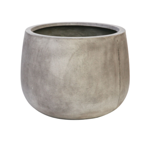 AHURIRIPLANTER