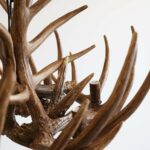 Antler Chandelier Small - Natural - Image 2