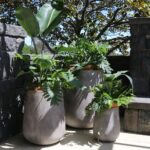 Karamea Cement Planter Large - Image 2