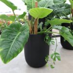 Oreti Black Planter Large - Image 5